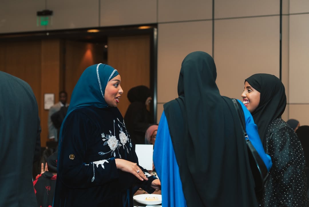 Innovate — Somali professionals at SNABPI